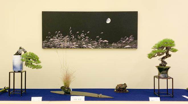 2018年第38届日本盆景大观展览会 第4部分