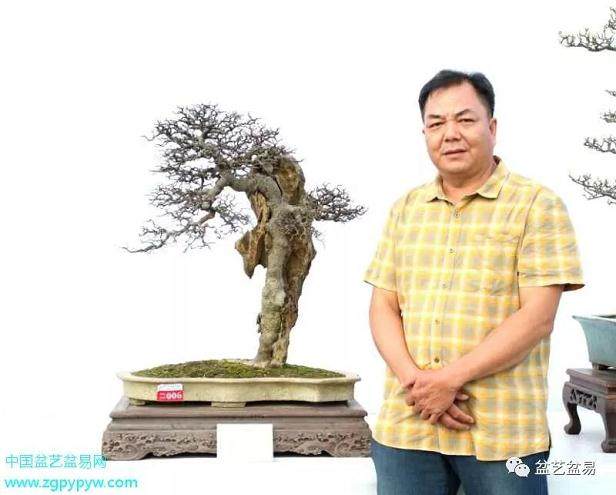 广东岭南盆景艺术家 江国斌备战江湖5强赛