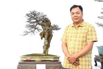 广东岭南盆景艺术家 江国斌备战江湖5强赛