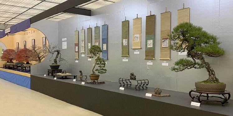 第38届日本盆景大观展览会将于2018年开幕