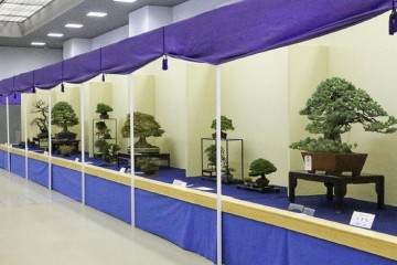 第38届日本盆景大观展览会将于2018年开幕