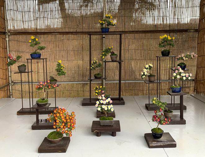 探索日本四国岛的高松盆景