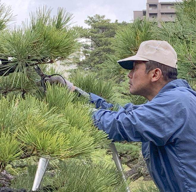 探索日本四国岛的高松盆景