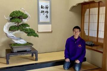 在东京参观小林先生的盆景博物馆