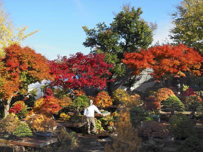 2018年 对大宫盆景村的秋季访问