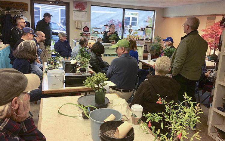 参加纽约州北部公司的盆景协会