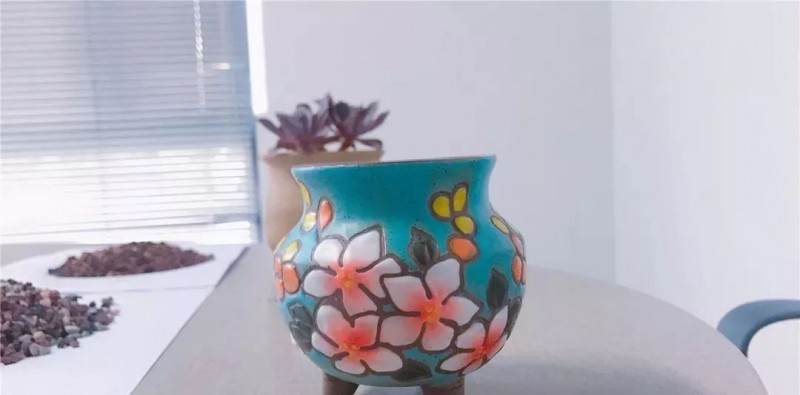 图解多肉格林怎么换盆的准备工作 图片