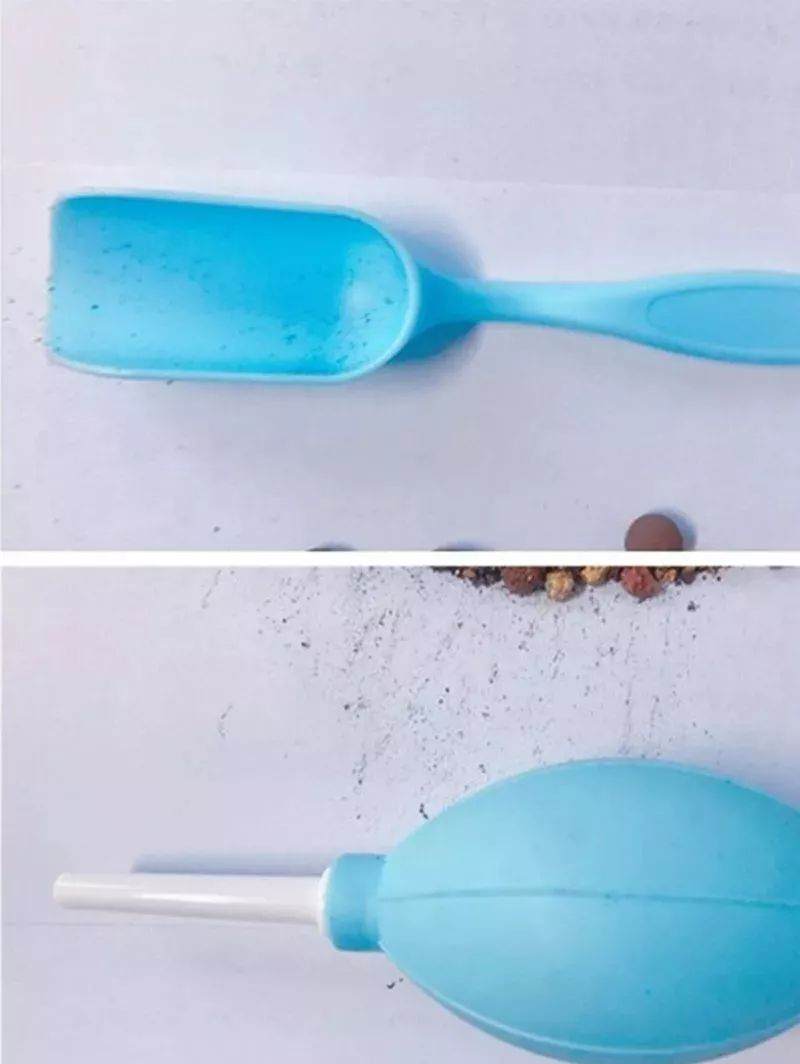 图解多肉格林怎么换盆的准备工作 图片