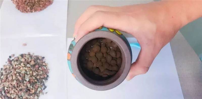 图解多肉格林怎么换盆的准备工作 图片