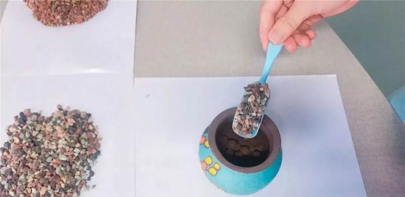 图解多肉格林怎么换盆的准备工作 图片