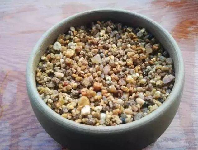 不要愁多肉扦插生不了根啦 用这6种方法生根