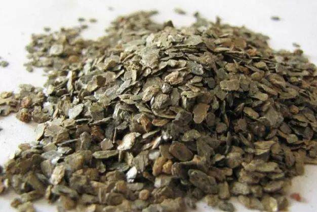 不要愁多肉扦插生不了根啦 用这6种方法生根