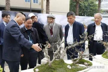 2018年10月举办四川省首届川派盆景技能大赛