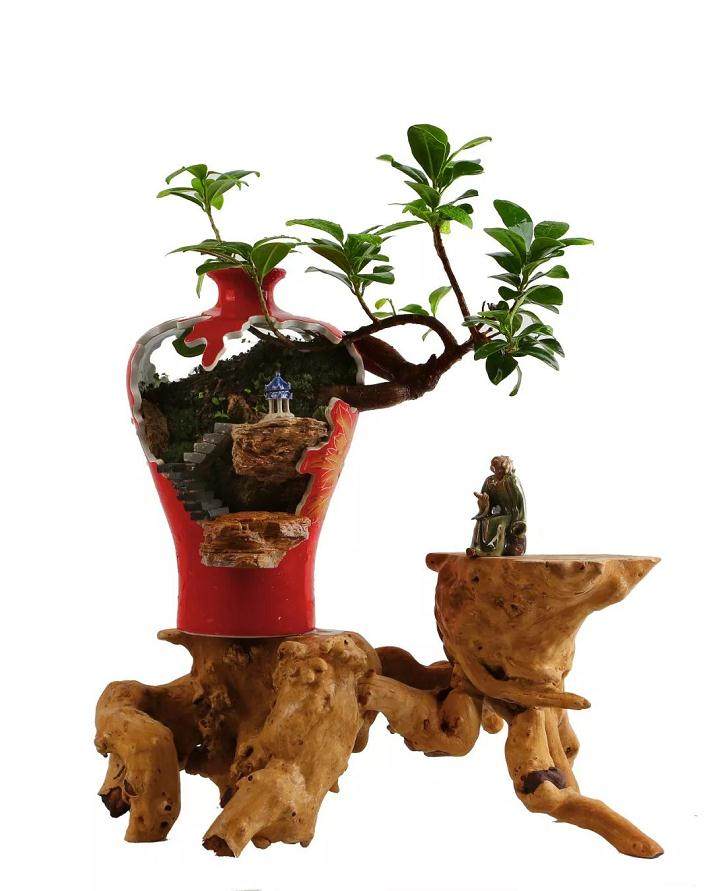 文化创意园里的艺术奇葩-艺瓷盆景