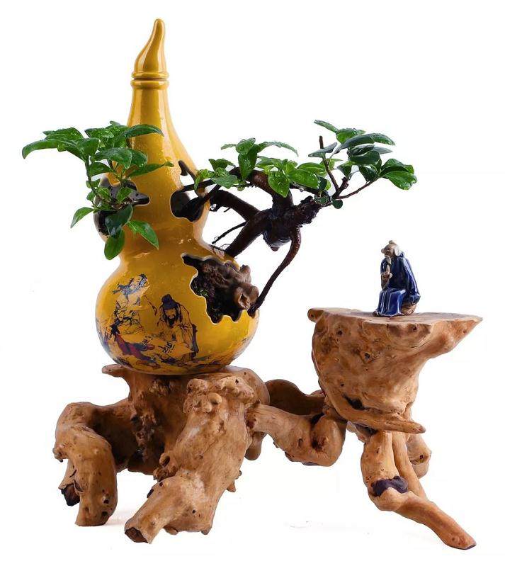 文化创意园里的艺术奇葩——艺瓷盆景