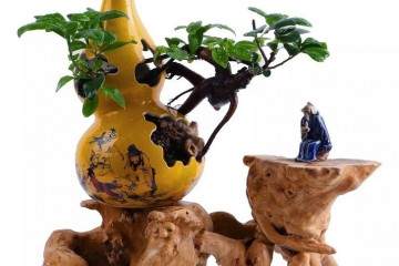 文化创意园里的艺术奇葩-艺瓷盆景