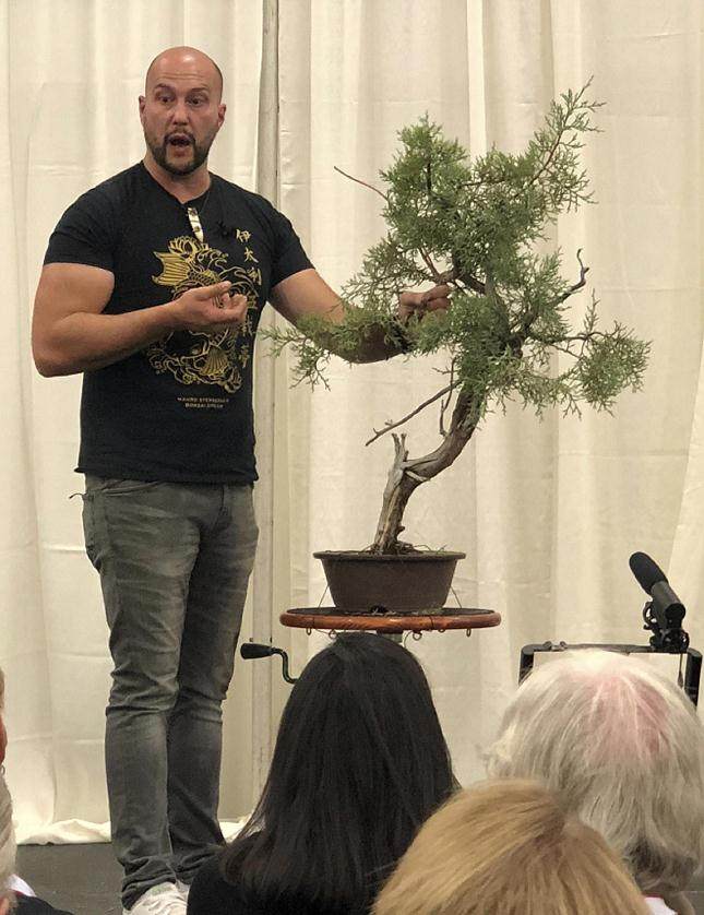  2018年 第6届 美国国家盆景展览回顾