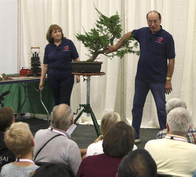 2018年 第6届 美国国家盆景展览回顾