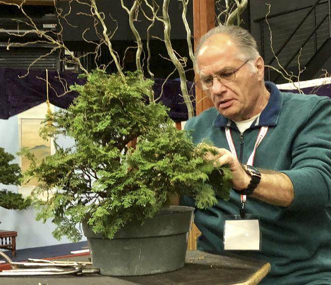 纽约州北部盆景协会获得了两个奖项