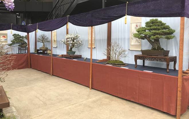 纽约州北部盆景协会获得了两个奖项