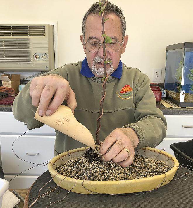 图解 用16幅图演示如何制作木瓜丛林盆景