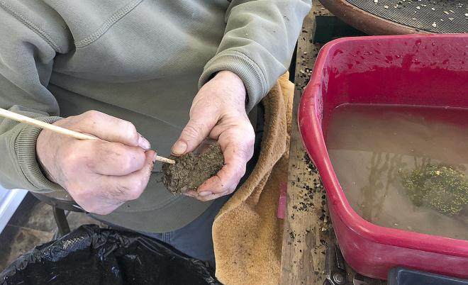 图解 用16幅图演示如何制作木瓜丛林盆景