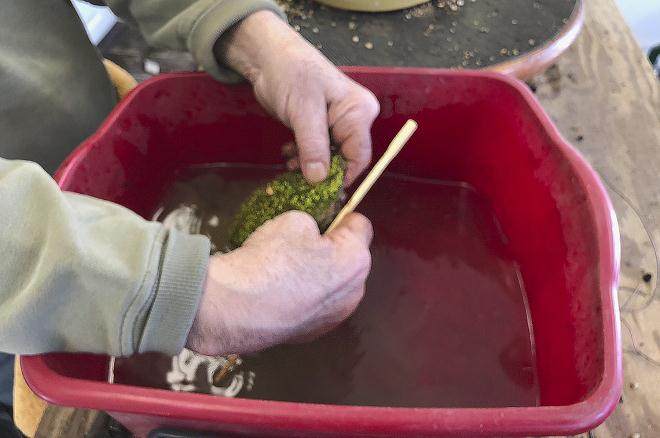 图解 用16幅图演示如何制作木瓜丛林盆景