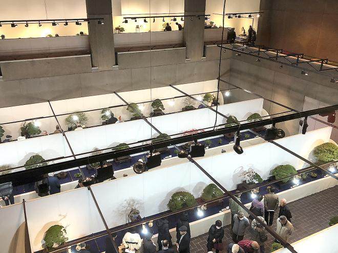 2018年 日本第92届国府盆景决赛展