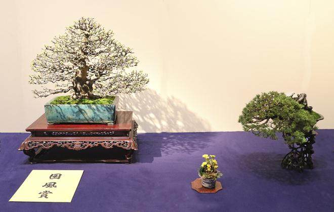 2018年第92届日本国府盆景展第一部分