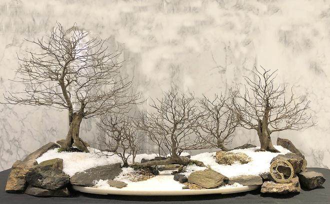 2017年第5届冬季剪影盆景博览会奖