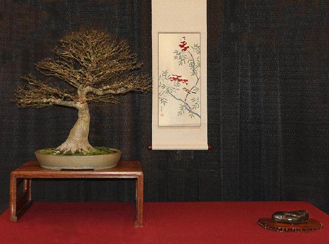 2017年第5届冬季剪影盆景盆景博览会