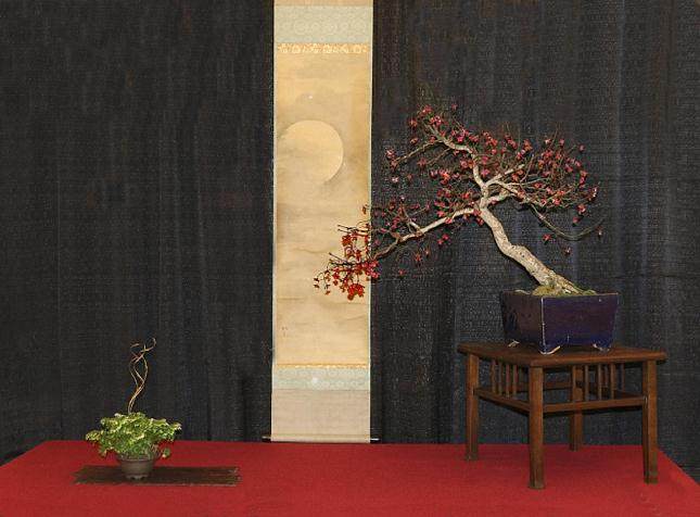 2017年第5届冬季剪影盆景盆景博览会