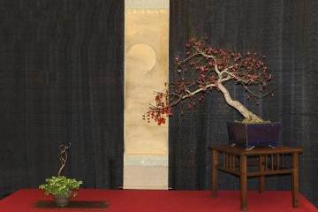 2017年第5届冬季剪影盆景盆景博览会