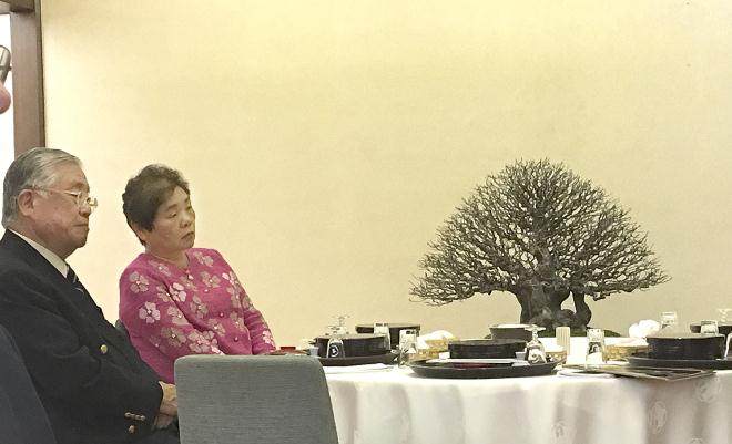 2017展示特色扭曲树干石榴盆景