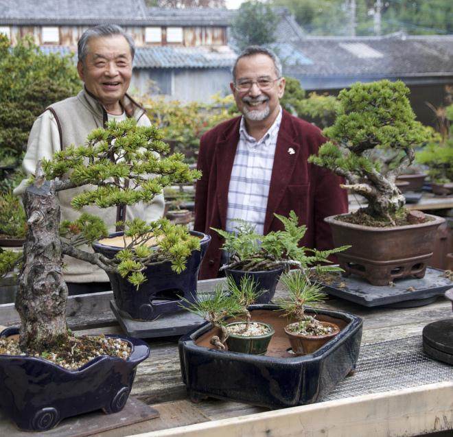 2016年秋季日本盆景探索 - 第7部分