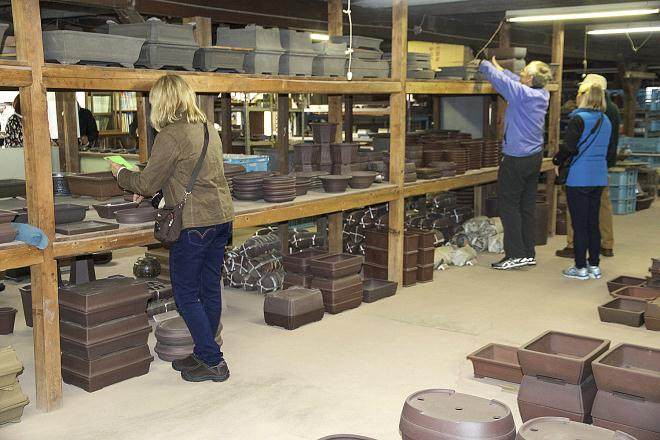 2016年秋季日本盆景探索 - 第7部分