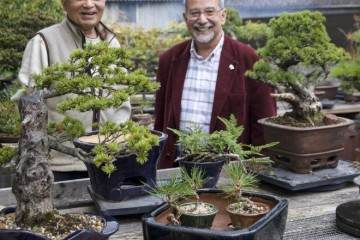 2016年秋季日本盆景探索 - 第7部分