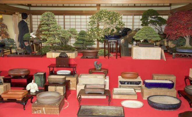 2016年日本盆景探索 - 第6部分