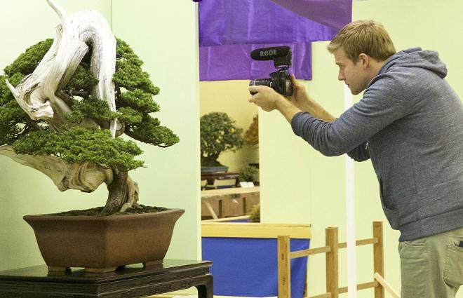 日本盆景大观展是日本西部最大的盆景展