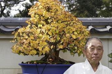 冈崎的Daiju-en盆景园是日本最着名的盆景花园之一