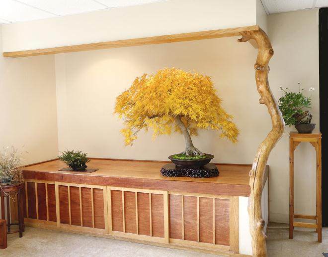 2016第五届美国全国盆景展