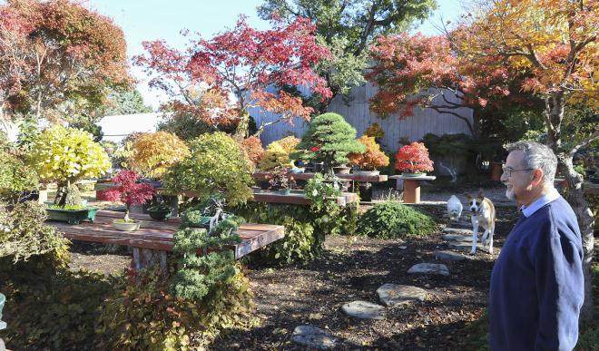 2016第五届美国全国盆景展