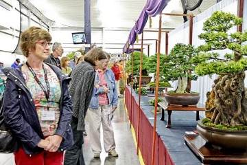 2016年第五届美国全国盆景展