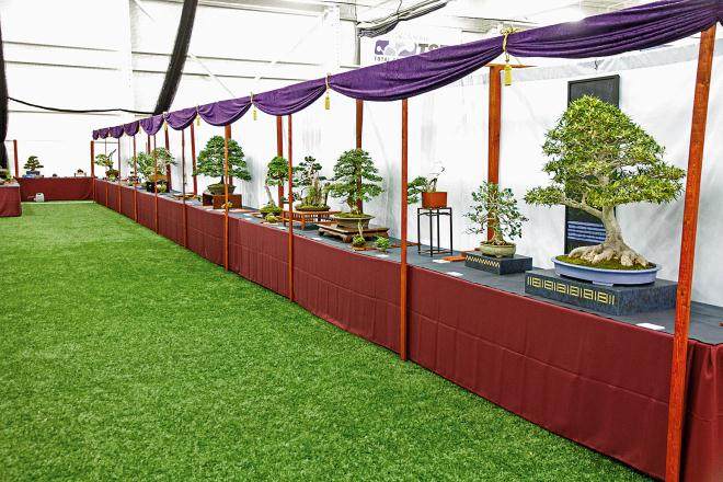 2016年9月举行的第五届美国国家盆景展览会