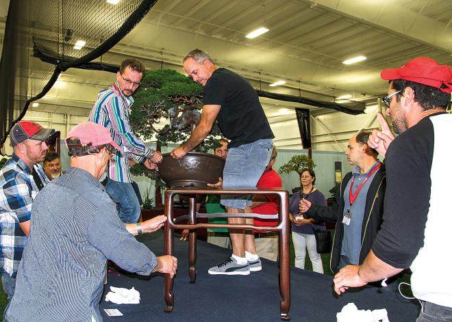 2016年9月举行的第五届美国国家盆景展览会