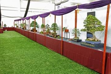 2016年9月举行的第五届美国国家盆景展览会