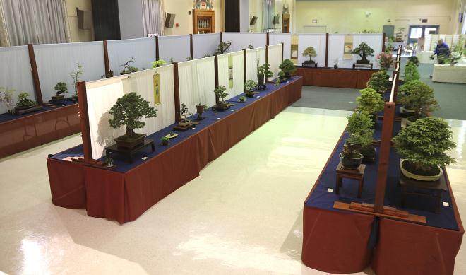 国际盆景植物园由威廉·N·瓦拉瓦尼斯成立