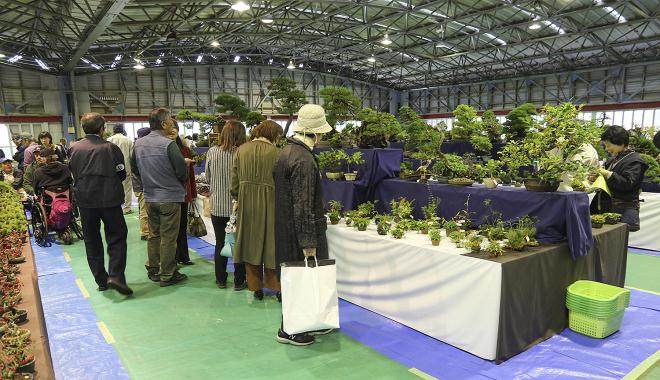 国分寺盆景绿色节30周年