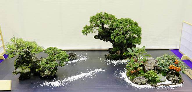 国分寺盆景绿色节30周年