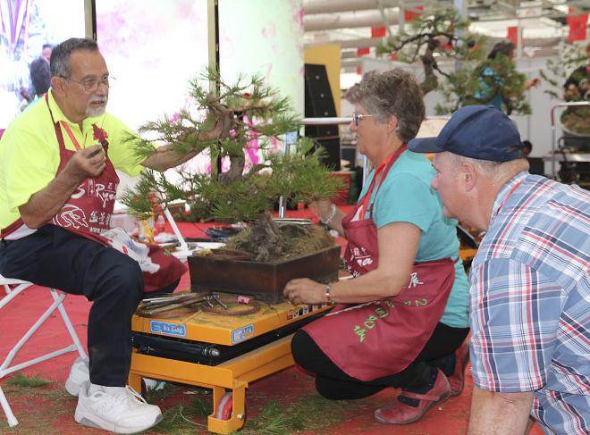 2017第四届中国丰盆景展